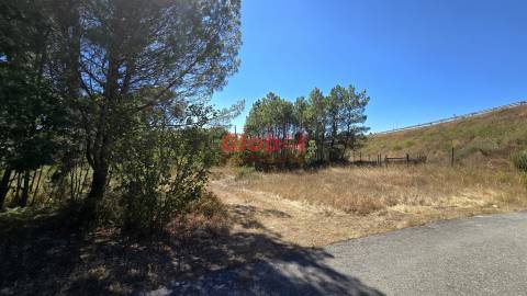 Terreno  Venda em Rio de Loba,Viseu