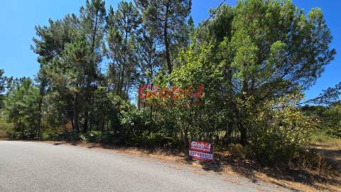 Terreno Rústico  Venda em Rio de Loba,Viseu
