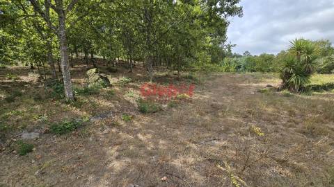 Lote de Terreno  Venda em Couto de Baixo e Couto de Cima,Viseu
