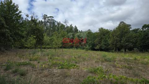 Lote de Terreno  Venda em Couto de Baixo e Couto de Cima,Viseu