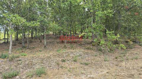 Lote de Terreno  Venda em Couto de Baixo e Couto de Cima,Viseu