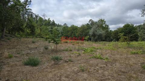 Lote de Terreno  Venda em Couto de Baixo e Couto de Cima,Viseu