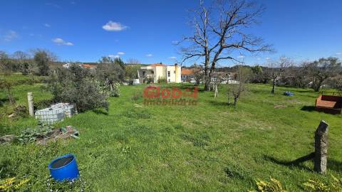 Terreno  Venda em Rio de Loba,Viseu