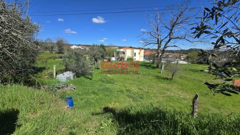 Terreno  Venda em Rio de Loba,Viseu