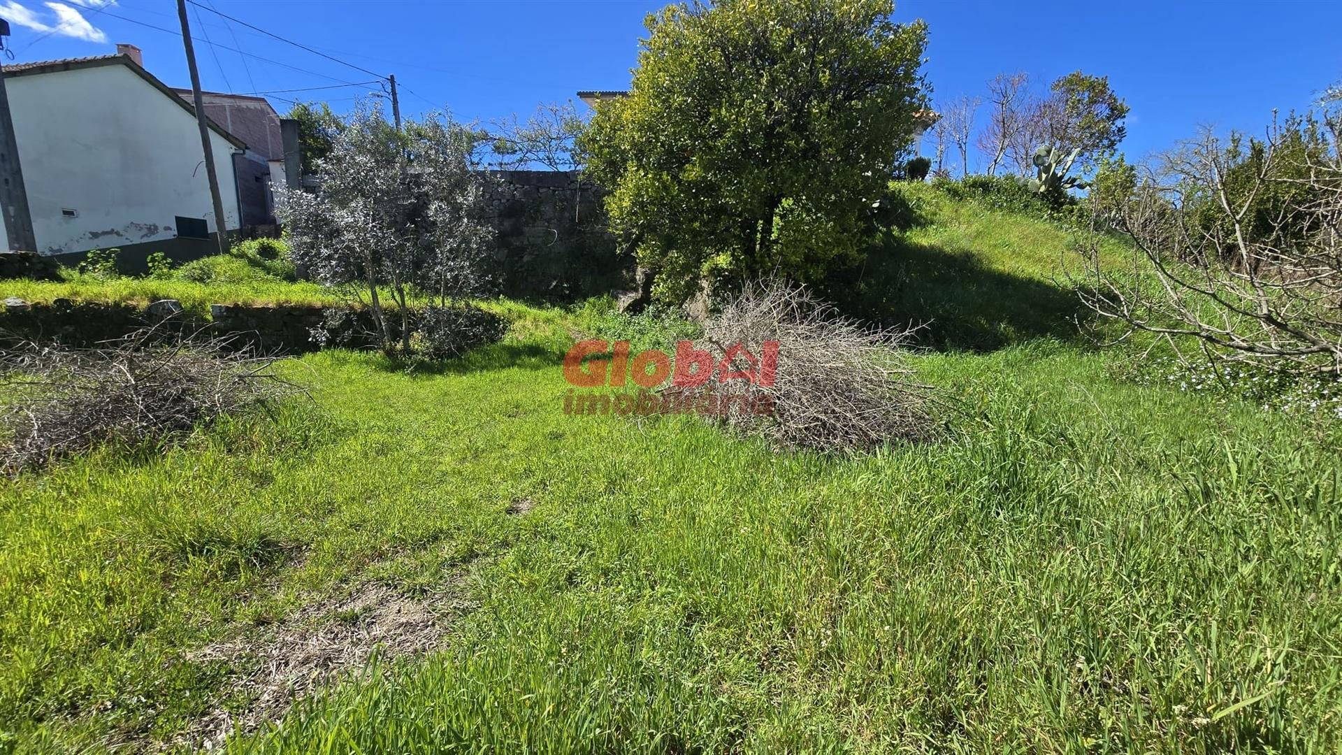 Terreno  Venda em Rio de Loba,Viseu