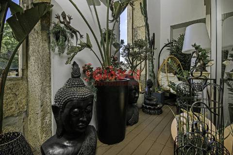 Apartamento T3 DUPLEX Venda em Viseu,Viseu