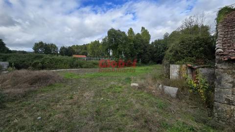 Terreno  Venda em Fragosela,Viseu