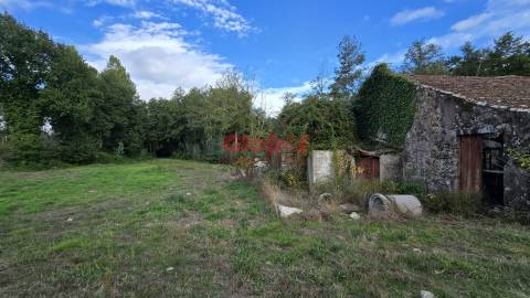 Terreno  Venda em Fragosela,Viseu