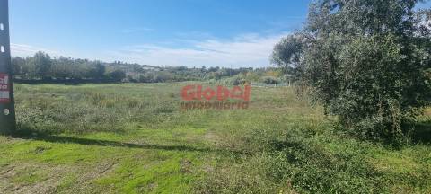 Terreno Rústico  Venda em Rio de Loba,Viseu