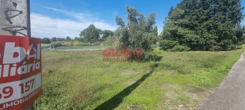 Terreno Rústico  Venda em Rio de Loba,Viseu