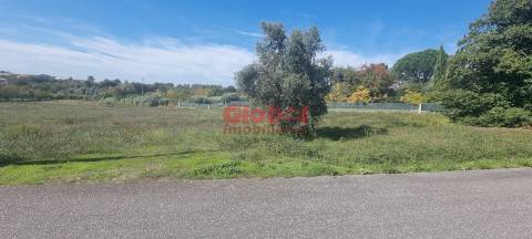 Terreno Rústico  Venda em Rio de Loba,Viseu