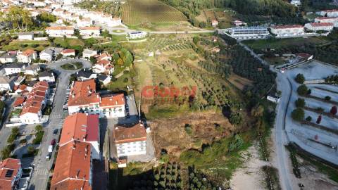 Terreno Urbano  Venda em Ínsua,Penalva do Castelo