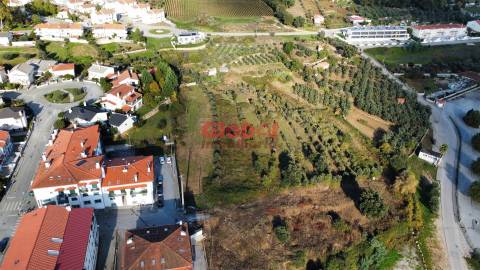 Terreno Urbano  Venda em Ínsua,Penalva do Castelo