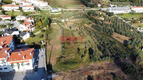 Terreno Urbano  Venda em Ínsua,Penalva do Castelo