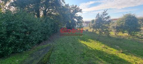 Lote de Terreno  Venda em Rio de Loba,Viseu