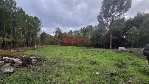 Terreno  Venda em Rio de Loba,Viseu