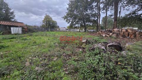 Terreno  Venda em Rio de Loba,Viseu