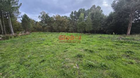 Terreno  Venda em Rio de Loba,Viseu
