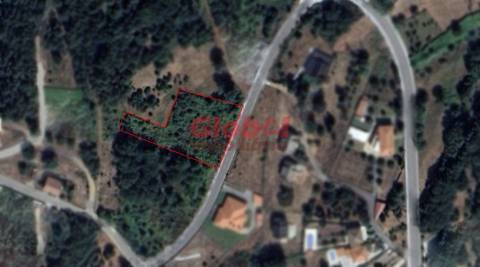 Terreno Rústico  Venda em Queiriga,Vila Nova de Paiva