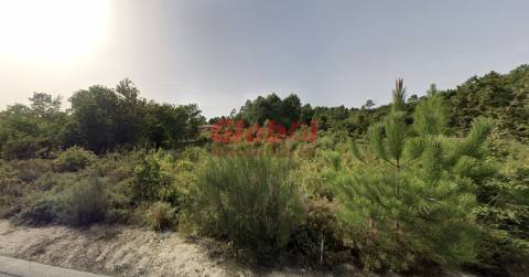 Terreno Rústico  Venda em Queiriga,Vila Nova de Paiva