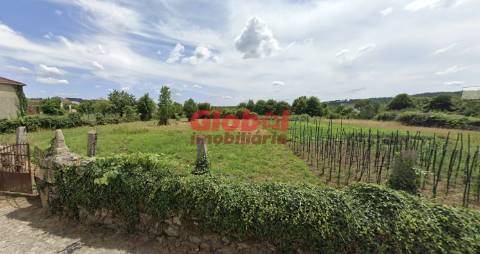 Terreno Rústico  Venda em Queiriga,Vila Nova de Paiva