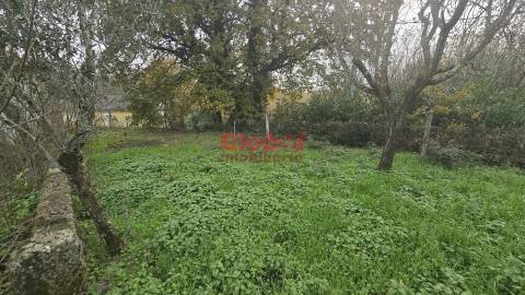 Terreno  Venda em Mundão,Viseu