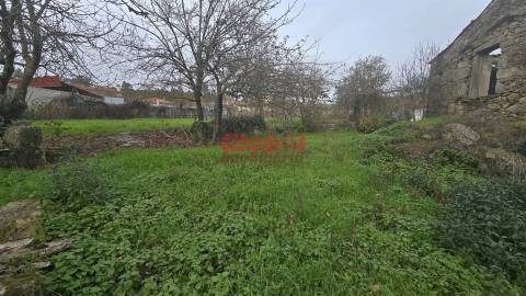 Terreno  Venda em Mundão,Viseu