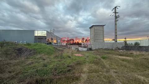 Armazém  Venda em Castro Daire,Castro Daire