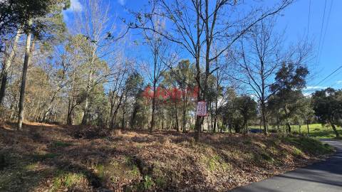 Terreno  Venda em Abraveses,Viseu
