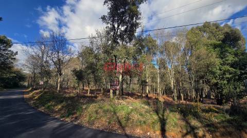 Terreno  Venda em Abraveses,Viseu