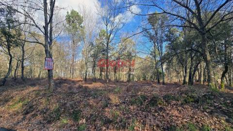 Terreno  Venda em Abraveses,Viseu