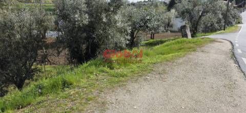Terreno Para Construção  Venda em Fragosela,Viseu