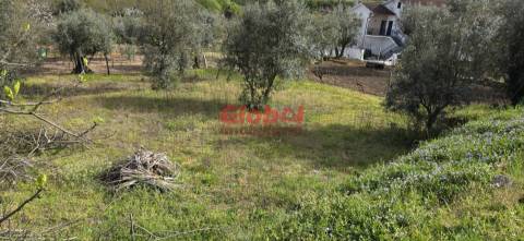 Terreno Para Construção  Venda em Fragosela,Viseu