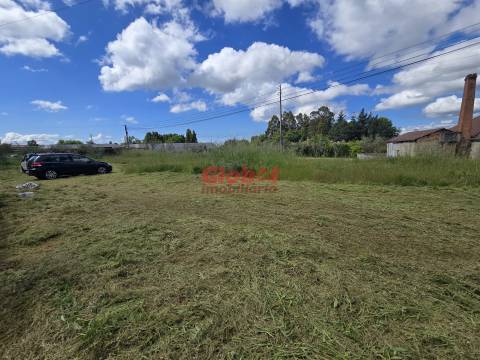 Terreno  Venda em Mundão,Viseu