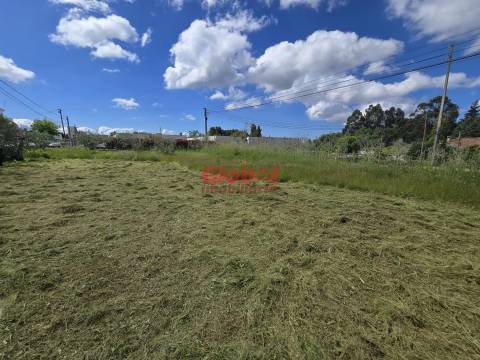 Terreno  Venda em Mundão,Viseu