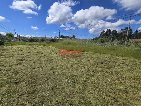 Terreno  Venda em Mundão,Viseu