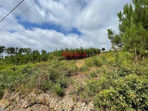 Terreno Para Construção  Venda em Campo,Viseu