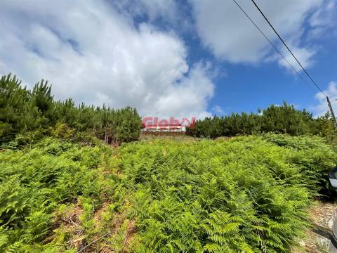 Terreno Para Construção  Venda em Campo,Viseu