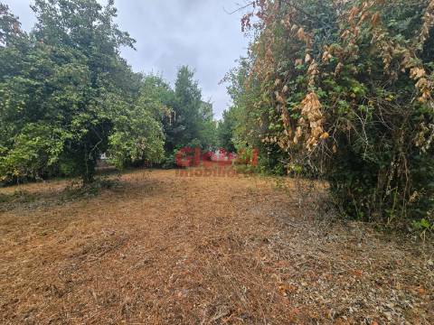 Terreno  Venda em Viseu,Viseu