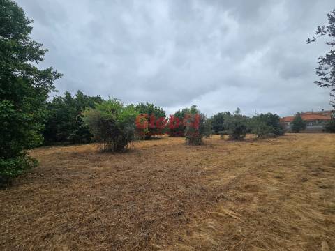 Terreno  Venda em Viseu,Viseu