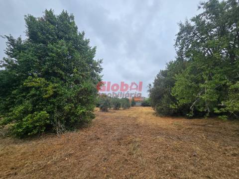 Terreno  Venda em Viseu,Viseu