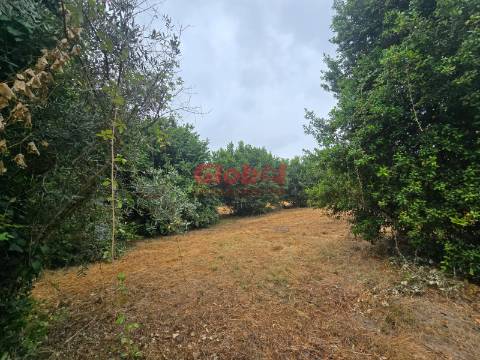 Terreno  Venda em Viseu,Viseu