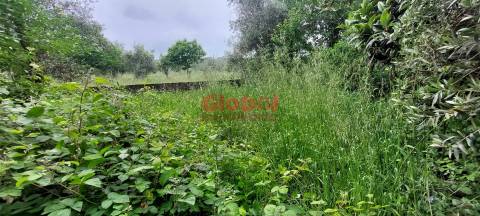 Moradia para Restaurar  Venda em Campo,Viseu