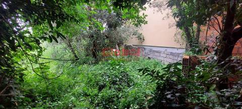 Moradia para Restaurar  Venda em Campo,Viseu