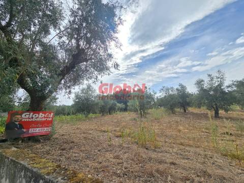 Terreno  Venda em Silgueiros,Viseu
