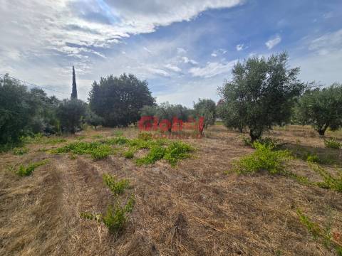 Terreno  Venda em Silgueiros,Viseu