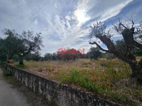 Terreno  Venda em Silgueiros,Viseu