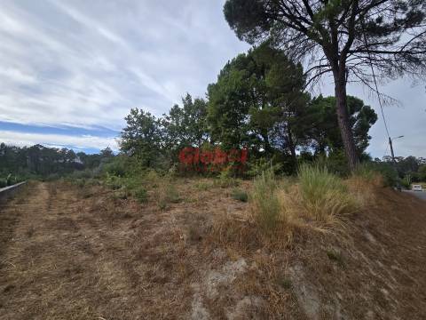 Terreno  Venda em Santos Evos,Viseu