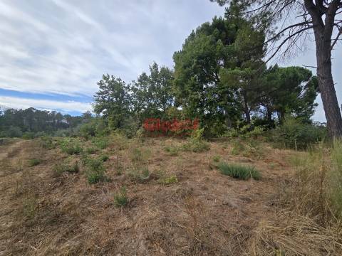 Terreno  Venda em Santos Evos,Viseu