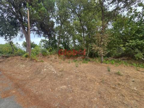 Terreno  Venda em Santos Evos,Viseu